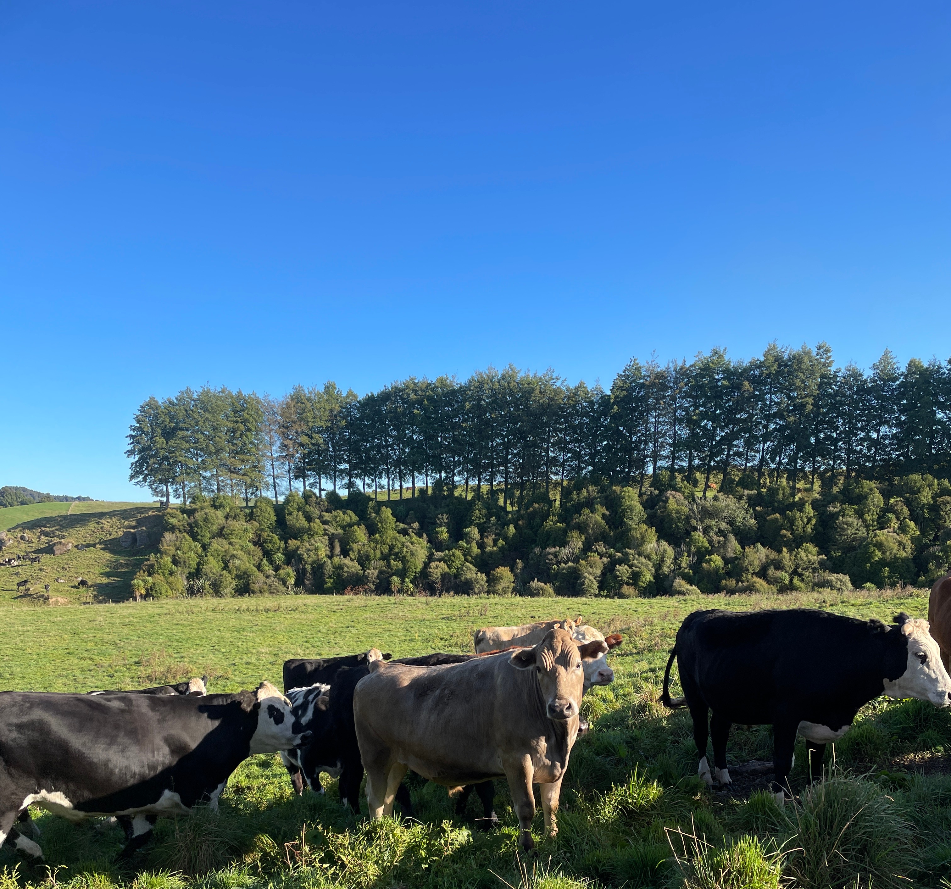 Farm planning and mapping