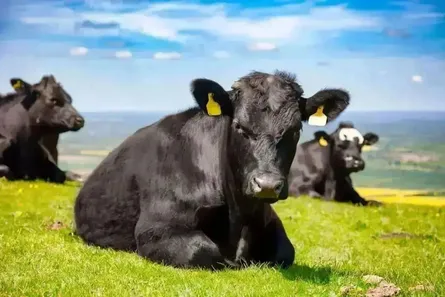 Farm Plans (NZFAP+)